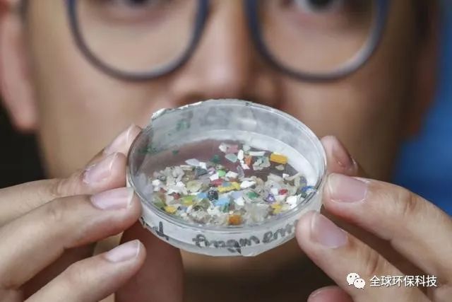 關(guān)于“微塑料”的危害，你了解多少？